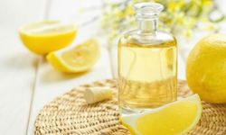 Limon Yağının Faydaları ve Kullanım Alanları