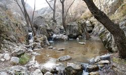 Mamak Belediyesinden Kıbrıs Kanyonu için Ekolojik Proje