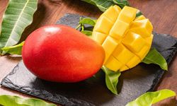 Mangonun Olgunlaştığı Nasıl Tespit Edilir?