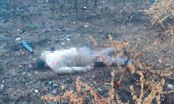 Viyadük Kazasında Ölen Sürücü 30 Metre Aşağıda Bulundu