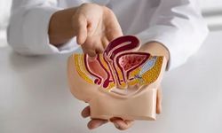 Mesane Kanseri Nedir? Nedenleri, Belirtileri ve Tedavisi