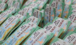 Milli Piyangoyu Kazanma Şansınız Nedir?