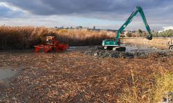 Mogan Gölü Nefes Aldı: 40 Bin Metreküp Atık Temizlendi
