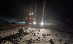 Muş ve Kars’ta Yoğun Kar Yağışı Hayatı Aksattı