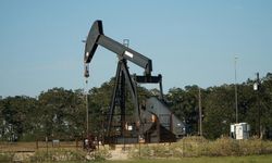 OPEC’in Kasım Ayı Ham Petrol Üretimi Düştü: Günlük 28 Milyon Varil