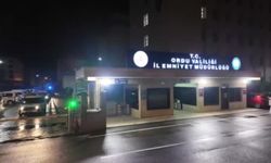 Ordu Merkezli 3 İlde Dolandırıcılık Baskını: 3 Tutuklama