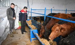 Polatlı’da Kırsal Destek Projesi İncelemesi: Projenin Ayrıntıları Paylaşıldı