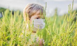 Ragweed Alerjisi Nedir? Nedenleri, Belirtileri ve Tedavisi