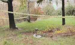 Sarıyer'de Şüpheli Ölüm: Dere Yatağında Ceset Bulundu