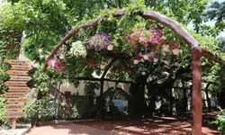 Keçiören’in Çiçekleri Belediyenin Modern Serasından Parklara Taşınıyor