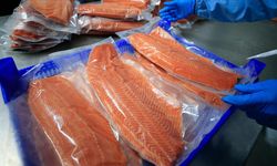 Türk Somonu 18 Ülkede Sofralarda: Rusya Zirvede