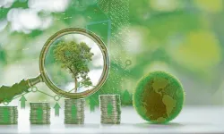Sürdürülebilir Finans Nedir? Çevresel ve Sosyal Kriterler Finansal Kararları Nasıl Etkiliyor?