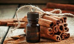 Tarçın Yağının Faydaları ve Kullanım Alanları