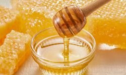 Tarım ve Orman Bakanlığı’ndan Balda Taklit Uyarısı