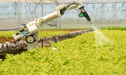 Tarkim Kayıtlı Sermaye Artırıyor: TARKM Hisse Neden Yükselişe Geçti?