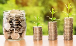 Tasarruf Nedir? Bireyler Neden Tasarruf Yapmaya Yönelir?