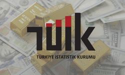 TÜİK Kasım Kazananını Açıkladı: Altın mı Dolar mı?