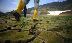 Türkiye’de Çevre Harcamaları Rekor Kırdı: 441 Milyar TL