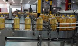 Türkiye’nin Ayçiçek Yağı İhracatında Hedef 1 Milyar Dolar
