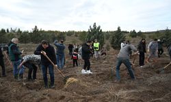 TUSAŞ Şehidi Ekici Anısına AOÇ’de 500 Fidan Dikildi