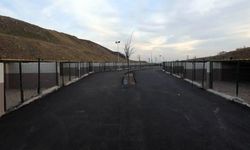 Yenimahalle’den Sokak Hayvanları için Yeni Merkez: Yakacık'ta Açılıyor