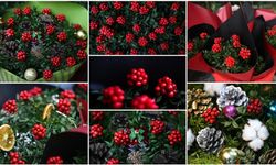 Ankara’da Yılbaşı Yaklaşırken Kokina Çiçeğine İlgi Artıyor