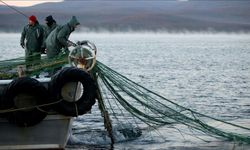 2025 Karadeniz Su Ürünleri İhracat Rakamları Belli Oldu