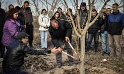 ABB’nin Ağaç Budama Kursu Tamamlandı: 50 Üretici Sertifikasını Aldı