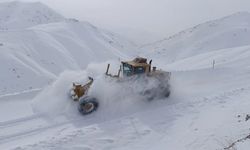 AFAD ve Bakanlıktan Türkiye’de Karla Mücadele Açıklaması