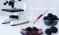 Ağız Yaralarına Doğal Çözüm: Karadutun Bilinmeyen Mucizesi