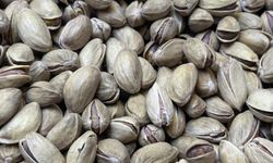 Antep Fıstığı İhracatı 178 Milyon Doları Aşarak 94 Ülkeye Ulaştı
