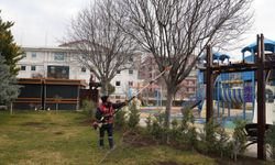 Keçiören’de Parklar ve Bahçeler Mevsimine Uygun Bakımdan Geçiyor