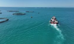 Balık Üretiminde 2025 Rakamları Açıklandı: Türkiye'den Tarihi Rekor