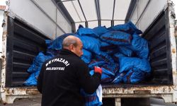 Beypazarı Belediyesi’nden İhtiyaç Sahiplerine Kömür Desteği