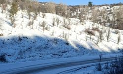 Beypazarı'nda Ulaşım Seferberliği: Tüm Köy Yolları Temizlendi