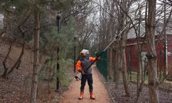 Çankaya’da Park ve Sokaklar Bahara Hazırlanıyor