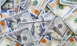 Dolar Hangi Ülkelerin Para Birimi? 2026 USD Kullanan Ülkeler Listesi