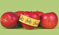 Gıdalarda Pestisit Olup Olmadığı Nasıl Anlaşılır? 3 Pratik Yol