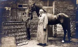 Matematik Bildiği Sanılan Atın Bilimsel Sırrı: Akıllı Hans Etkisi Nedir?