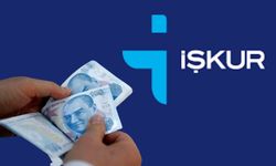 İŞKUR’dan Engelli ve Eski Hükümlülere Büyük Destek: Başvurular Başladı