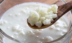 Kefir Mayası Nedir ve Nasıl Yapılır? 5 Bin Yıllık Şifanın Sırrı