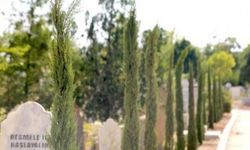 Mezarlıklarda Neden Hep Servi Ağaçları Vardır?