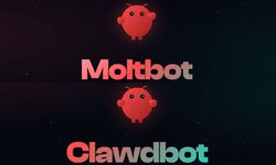 Clawdbot, Anthropic'in Talebiyle İsim Değiştirip Yola 'Moltbot' ile Devam Dedi