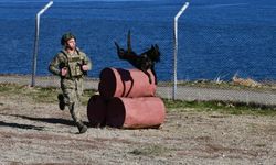 MSB’den Dikkat Çeken Paylaşım: Askeri Köpekli Timler Sahada