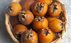 Muşmula (Döngel) Meyvesi Hangi Hastalıklara İyi Gelir?