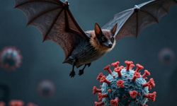 Nipah Virüsü Türkiye'de Görüldü mü? Belirtileri ve Bulaş Yolları