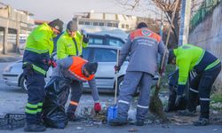Şaşmaz Sanayi Sitesi’nde Büyük Temizlik: Ekipler Sahaya İndi