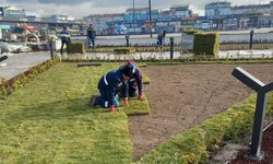 Sincan Belediyesi’nden Çevre Düzenleme Seferberliği