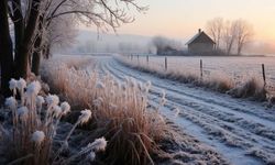 Suyun Buza Dönüştüğü Hava Olayı: Kırağı Nasıl Oluşur?