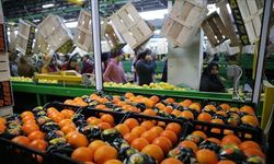 Tarım İhracatında Cumhuriyet Tarihi Rekoru: 36,4 Milyar Dolar